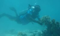 Underwater Services in Sri Lanka